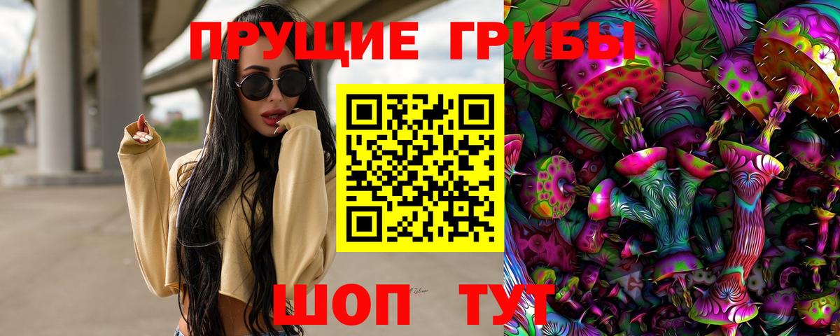 закладка  Галлюциногенные грибы прущие грибы  Псилоцибиновые грибы Cubensis  Вход с VPN  Луга 